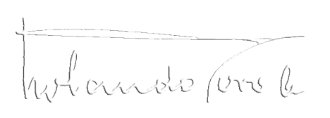 Firma de Rolando Toro Araneda