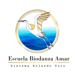 Logotipo de Chile: Viña del Mar (Amar)