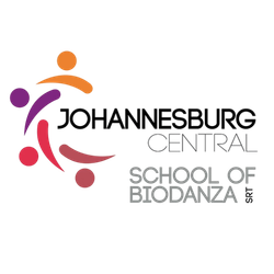 Logotipo de South Africa: Johannesburg Central